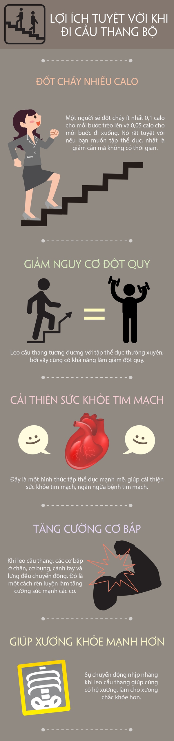 Chăm chỉ đi cầu thang bộ cũng đem lại nhiều lợi ích không ngờ 1