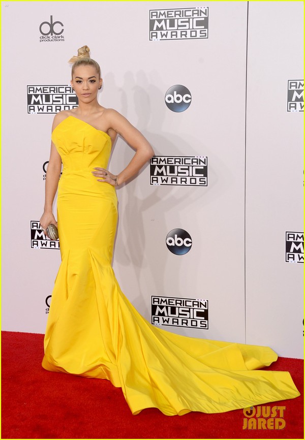 Dàn sao đình đám đẹp lộng lẫy trên thảm đỏ American Music Awards 2014 10