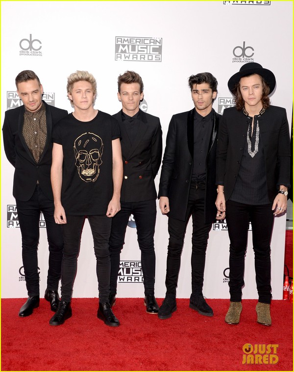 Dàn sao đình đám đẹp lộng lẫy trên thảm đỏ American Music Awards 2014 11