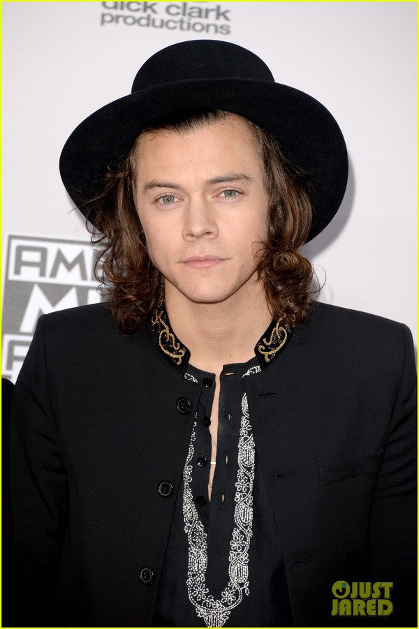 Dàn sao đình đám đẹp lộng lẫy trên thảm đỏ American Music Awards 2014 12