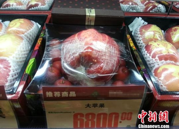 Quả t&aacute;o khổng lồ nặng 1,2kg gi&aacute; l&ecirc;n tới hơn 20 triệu đồng 2