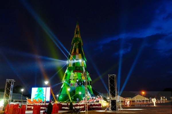 Cận cảnh cây thông Noel được xác lập kỷ lục cao nhất Việt Nam 1