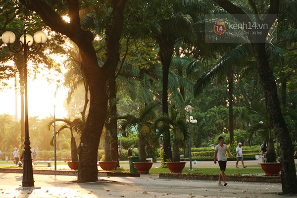 Người Sài Gòn tiếc nuối hàng cây cổ thụ ở Công viên Gia Định sắp bị đốn hạ 14