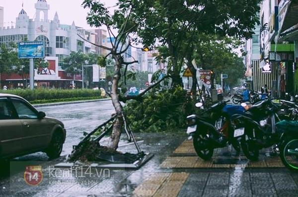 Đà Nẵng mưa lớn ngập lụt vì bão, học sinh toàn thành phố nghỉ học 2