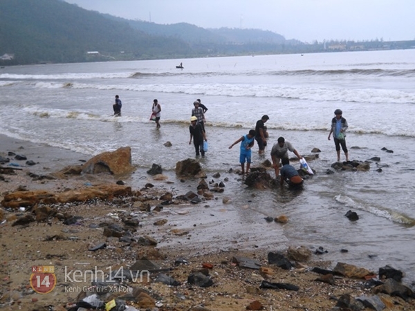 Đà Nẵng: Sau bão, người dân đổ xô ra biển nhặt nghêu  2