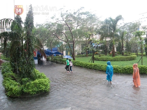 Mưa lớn ngập trường, sinh viên Đà Nẵng bì bõm lội nước đến lớp 8