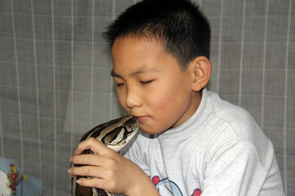 Trung Quốc: Cậu bé có "cô trông trẻ" là... trăn khổng lồ 2