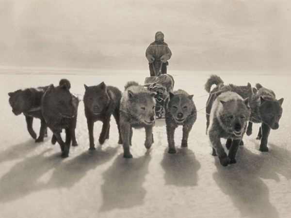 Thám hiểm Nam Cực thời xưa: Kinh hoàng, phi thường 5