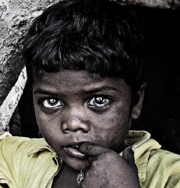 Những hình ảnh giật mình về nạn đói và sự lãng phí 6