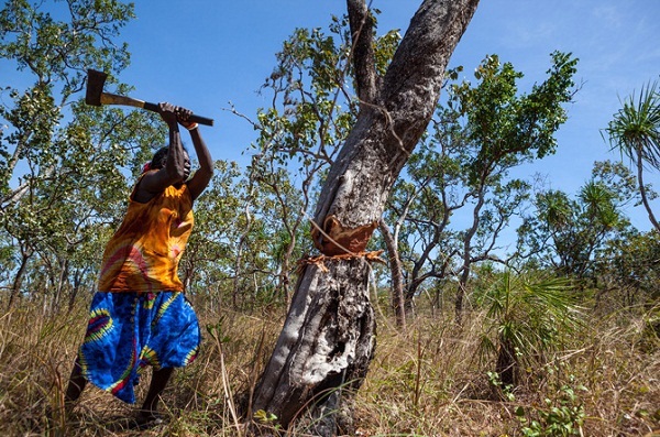 Cộng đồng 50.000 tuổi sống nguy&ecirc;n thủy giữa x&atilde; hội hiện đại 7
