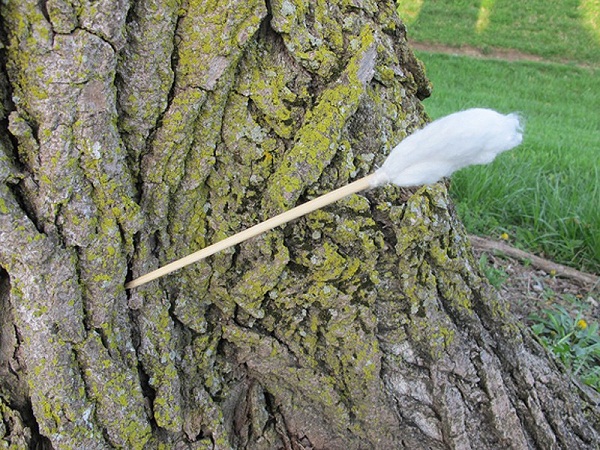 B&iacute; k&iacute;p sinh tồn chỉ bằng... băng vệ sinh tampon 7