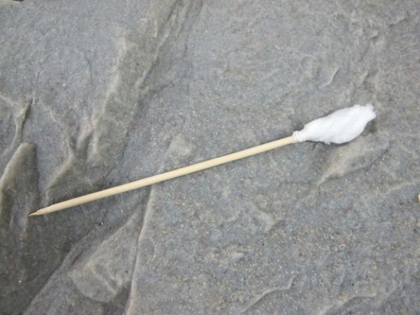 Bí kíp sinh tồn chỉ bằng... băng vệ sinh tampon 8