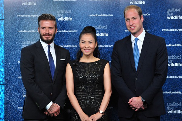 Thu Minh lầu đầu chia sẻ sau cuộc gặp với hoàng tử William, David Beckham 1