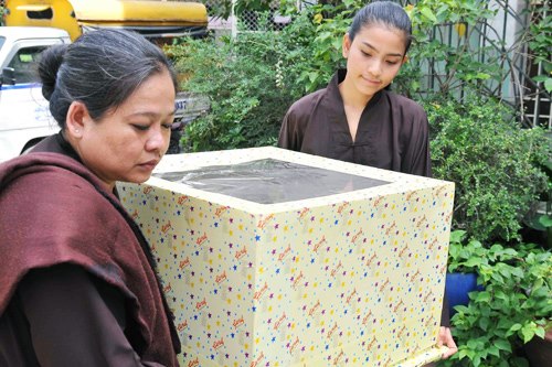 Những sao Việt được mẹ "n&acirc;ng như n&acirc;ng trứng"  6
