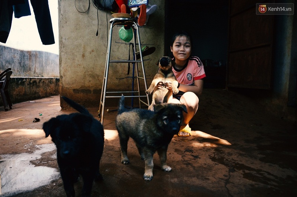 Những mẩu chuyện nhỏ xinh của người Sài Gòn yêu mèo, yêu chó! - Ảnh 4.