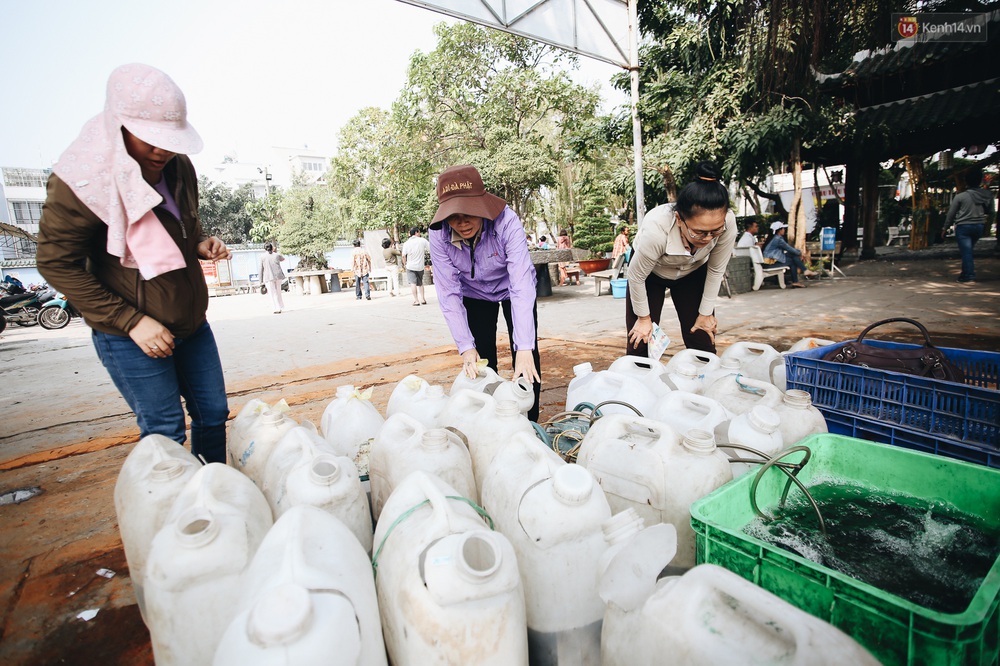 Ảnh: Chi 20 triệu mua cá chép rồi đi thuyền ra giữa sông để phóng sinh, người phụ nữ Sài Gòn vẫn choáng đặc khi thấy gã thanh niên lao theo chích điện để vớt cá - Ảnh 2.