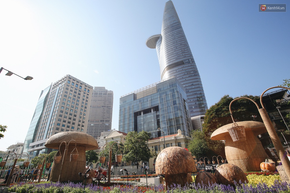 Cận cảnh đường hoa Nguyễn Huệ Tết Canh Tý 2020 khoe sắc rực rỡ trước ngày khai mạc - Ảnh 15. Cận cảnh đường hoa Nguyễn Huệ Tết Canh Tý 2020 khoe sắc rực rỡ trước ngày khai mạc - Ảnh 15.