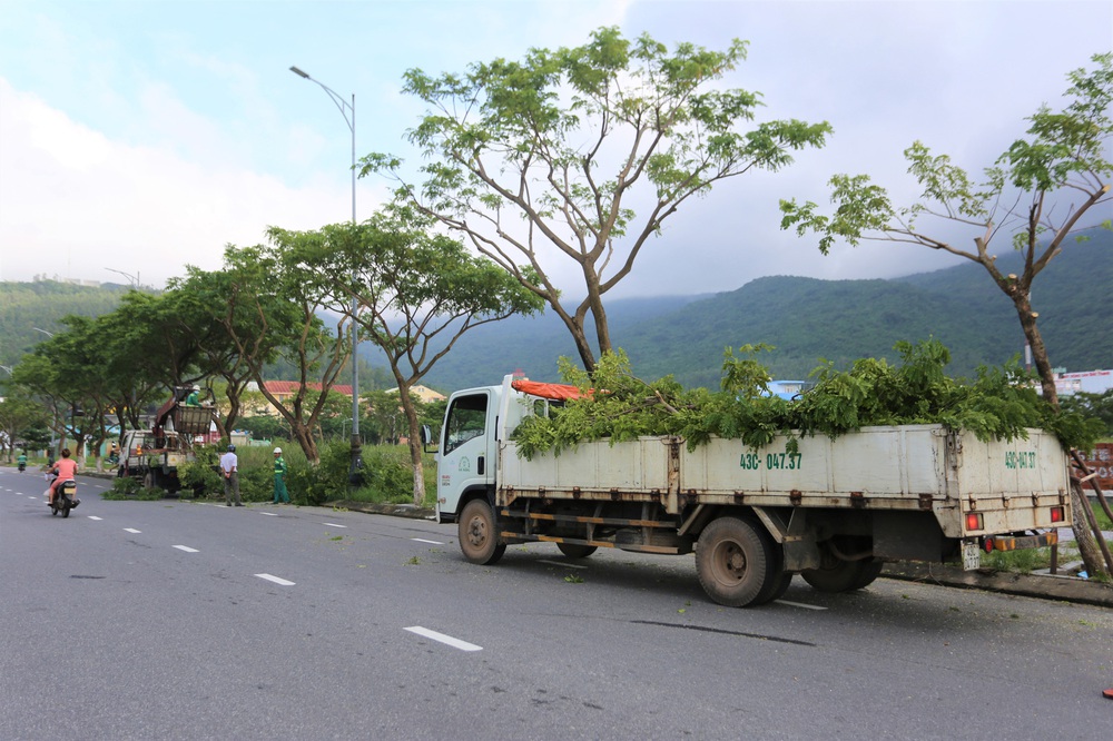 Người dân Đà Nẵng chằng chống nhà cửa, tất bật ứng phó bão số 9 đang sầm sập tiến vào đất liền - Ảnh 15.