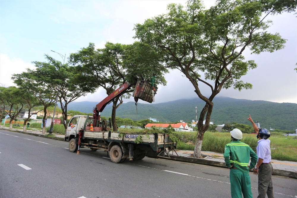 Người dân Đà Nẵng chằng chống nhà cửa, tất bật ứng phó bão số 9 đang sầm sập tiến vào đất liền - Ảnh 16.