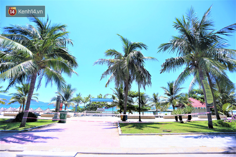 Toàn cảnh Đà Nẵng ngày đầu cách ly xã hội: Bãi biển không bóng người, bến xe dừng hoạt động - Ảnh 18.