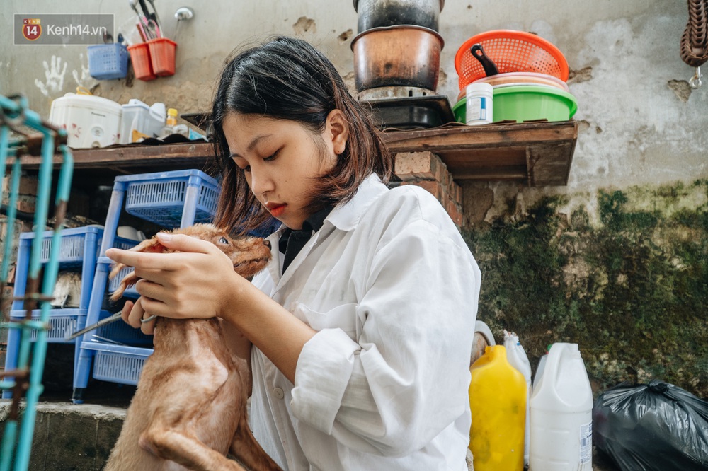 Trạm cứu hộ chó, mèo của các bạn sinh viên ở Hà Nội: Chúng mình luôn sẵn sàng khi có cuộc gọi khẩn cấp - Ảnh 19.