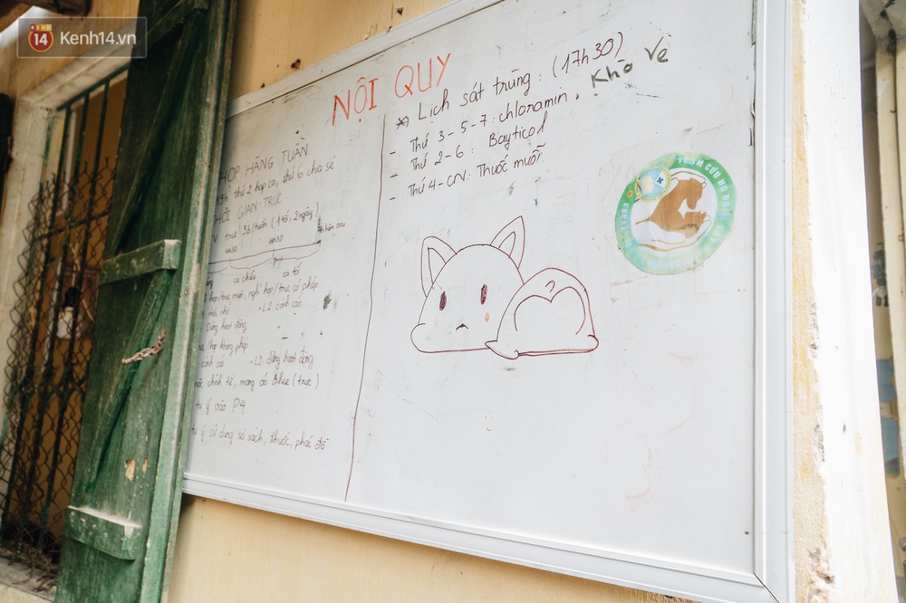 Trạm cứu hộ chó, mèo của các bạn sinh viên ở Hà Nội: Chúng mình luôn sẵn sàng khi có cuộc gọi khẩn cấp - Ảnh 4.