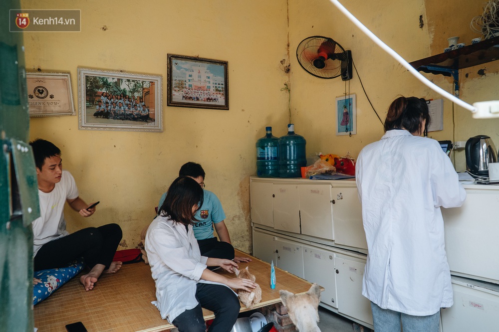 Trạm cứu hộ chó, mèo của các bạn sinh viên ở Hà Nội: Chúng mình luôn sẵn sàng khi có cuộc gọi khẩn cấp - Ảnh 23.