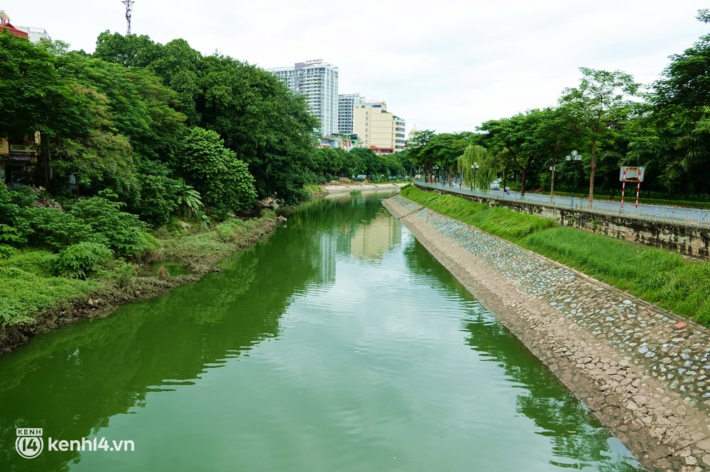 Hà Nội: Sông Tô Lịch bất ngờ chuyển màu xanh ngắt, người dân mang theo bao bắt hàng trăm cân cá đem về - Ảnh 2. Hà Nội: Sông Tô Lịch bất ngờ chuyển màu xanh ngắt, người dân mang theo bao bắt hàng trăm cân cá đem về - Ảnh 2.