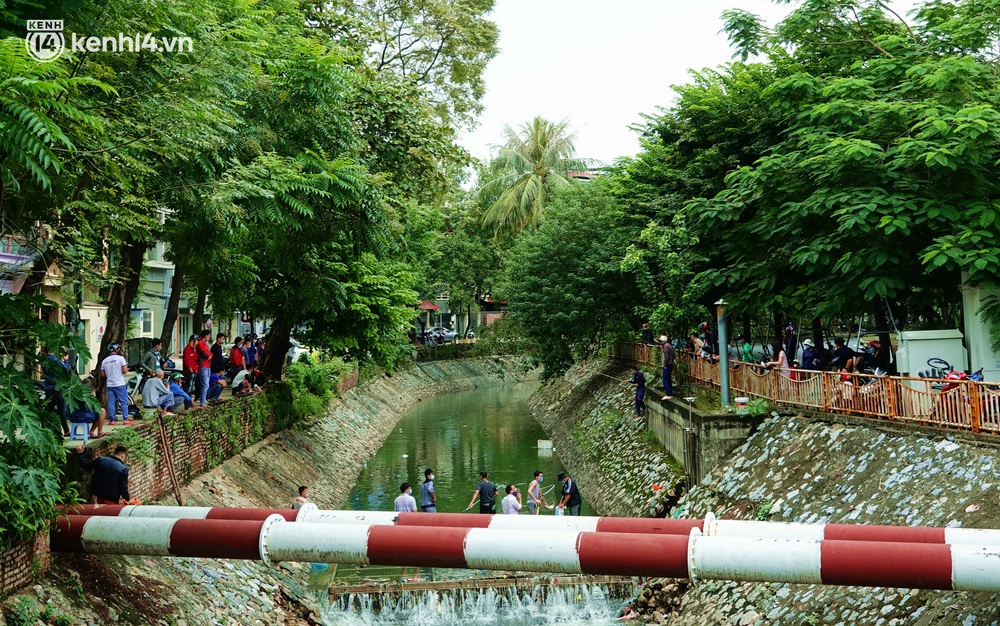 Hà Nội: Sông Tô Lịch bất ngờ chuyển màu xanh ngắt, người dân mang theo bao bắt hàng trăm cân cá đem về - Ảnh 10. Hà Nội: Sông Tô Lịch bất ngờ chuyển màu xanh ngắt, người dân mang theo bao bắt hàng trăm cân cá đem về - Ảnh 10.