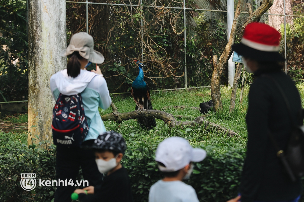 Ngày đầu Thảo Cầm Viên Sài Gòn mở cửa sau 6 tháng tạm dừng vì dịch, người dân háo hức mua vé ghé thăm bầy thú - Ảnh 9.