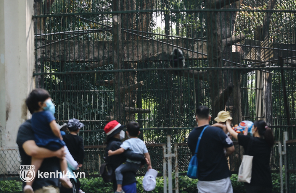 Ngày đầu Thảo Cầm Viên Sài Gòn mở cửa sau 6 tháng tạm dừng vì dịch, người dân háo hức mua vé ghé thăm bầy thú - Ảnh 10.
