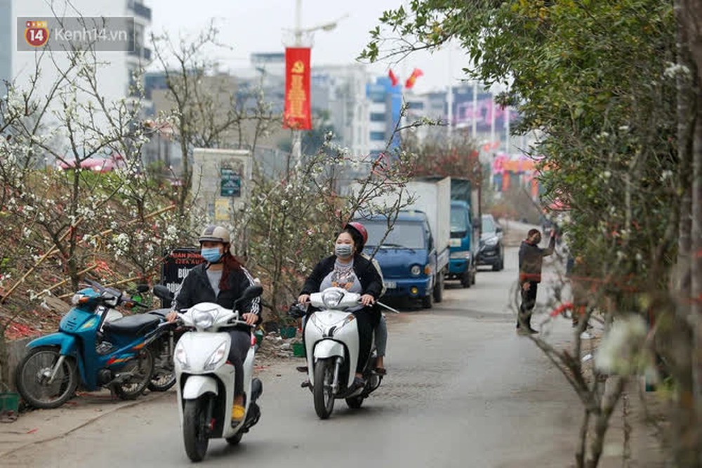 Ảnh: Hàng trăm người dân Hà Nội đổ xô đi mua hoa lê về chơi Rằm tháng Giêng - Ảnh 10.