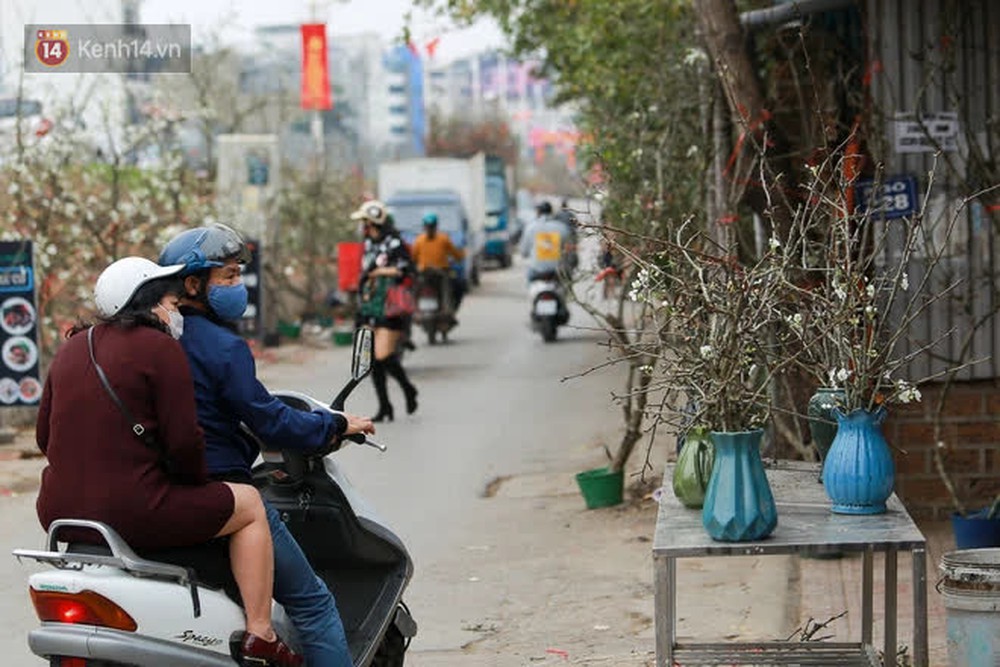 Ảnh: Hàng trăm người dân Hà Nội đổ xô đi mua hoa lê về chơi Rằm tháng Giêng - Ảnh 11.