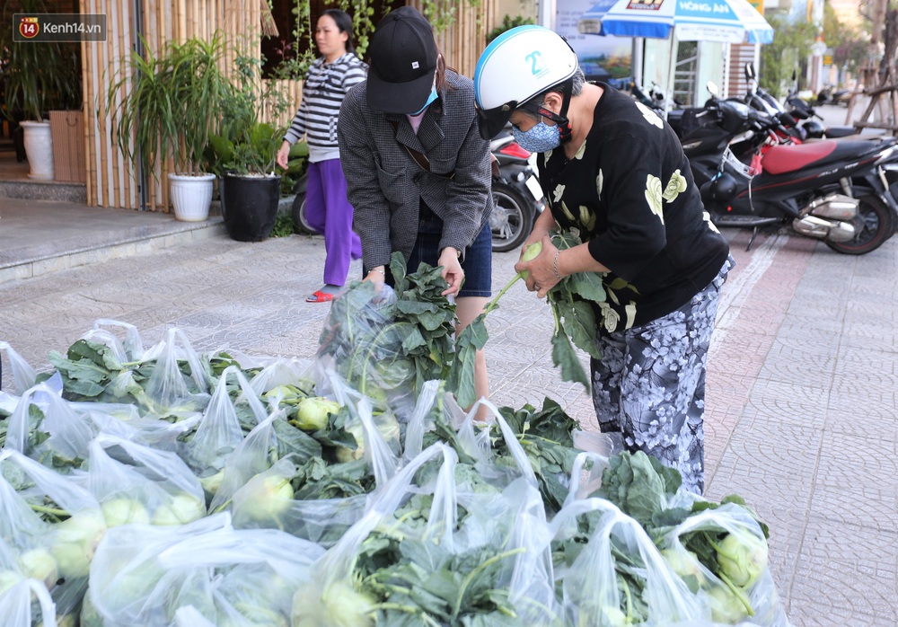 Ảnh: Người Đà Nẵng nườm nượp kéo nhau giải cứu nông sản cho nông dân Hải Dương - Ảnh 3. Ảnh: Người Đà Nẵng nườm nượp kéo nhau giải cứu nông sản cho nông dân Hải Dương - Ảnh 3.