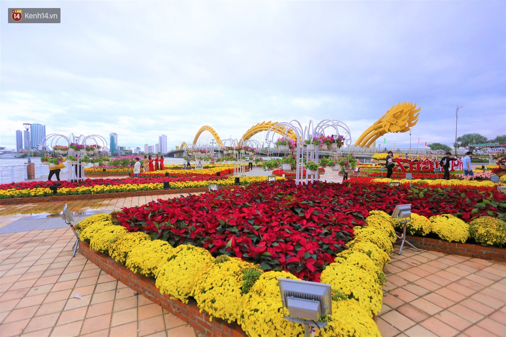Người Đà Nẵng hào hứng check in đường hoa Xuân hơn 10 tỷ đồng dọc bờ sông Hàn - Ảnh 12. Người Đà Nẵng hào hứng check in đường hoa Xuân hơn 10 tỷ đồng dọc bờ sông Hàn - Ảnh 12.