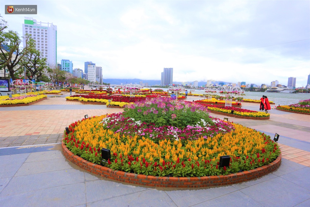 Người Đà Nẵng hào hứng check in đường hoa Xuân hơn 10 tỷ đồng dọc bờ sông Hàn - Ảnh 7. Người Đà Nẵng hào hứng check in đường hoa Xuân hơn 10 tỷ đồng dọc bờ sông Hàn - Ảnh 7.