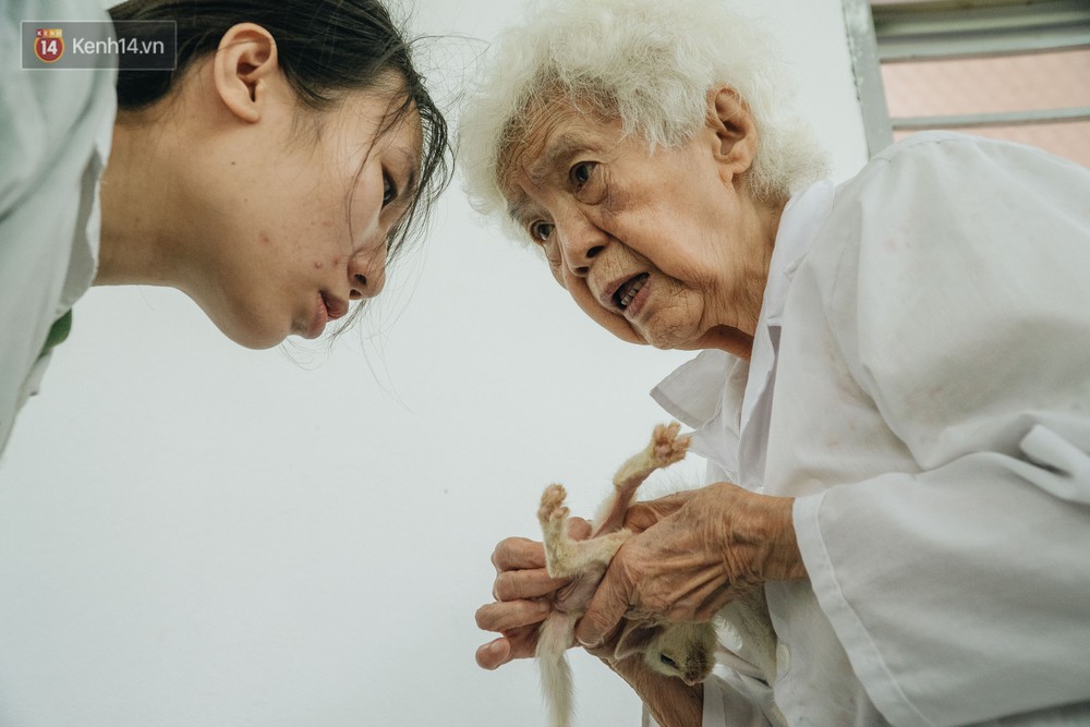 Bên trong phòng khám chữa bệnh, châm cứu miễn phí cho chó mèo ở Hà Nội: Ngoan, bà thương... - Ảnh 17.