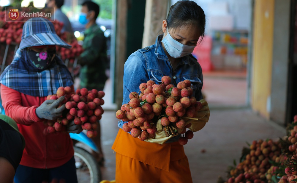 Ảnh: Vải thiều được mùa, người dân Bắc Giang nhộn nhịp, thắp đèn thâu đêm thu hoạch - Ảnh 13. Ảnh: Vải thiều được mùa, người dân Bắc Giang nhộn nhịp, thắp đèn thâu đêm thu hoạch - Ảnh 13.