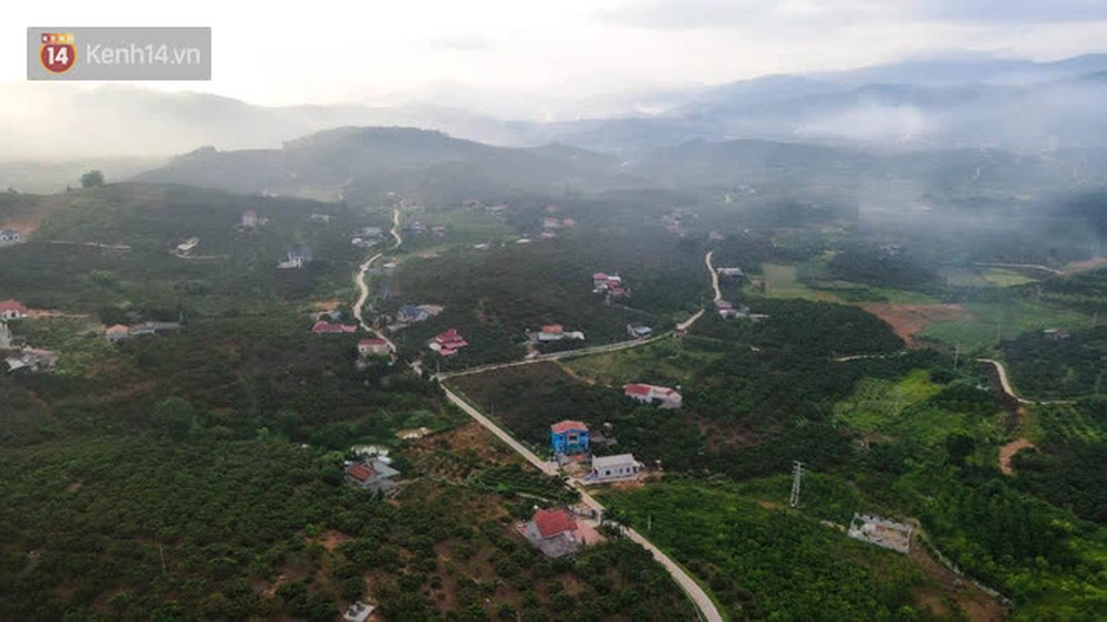 Ảnh: Vải thiều được mùa, người dân Bắc Giang nhộn nhịp, thắp đèn thâu đêm thu hoạch - Ảnh 1. Ảnh: Vải thiều được mùa, người dân Bắc Giang nhộn nhịp, thắp đèn thâu đêm thu hoạch - Ảnh 1.