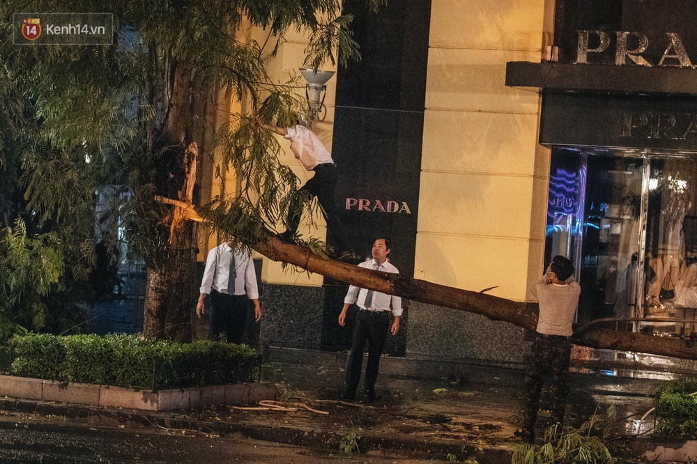 Chùm ảnh Hà Nội sau cơn mưa trắng trời: Cây đổ khắp phố phường, mất điện, người dân không kịp trở tay - Ảnh 14. Chùm ảnh Hà Nội sau cơn mưa trắng trời: Cây đổ khắp phố phường, mất điện, người dân không kịp trở tay - Ảnh 14.