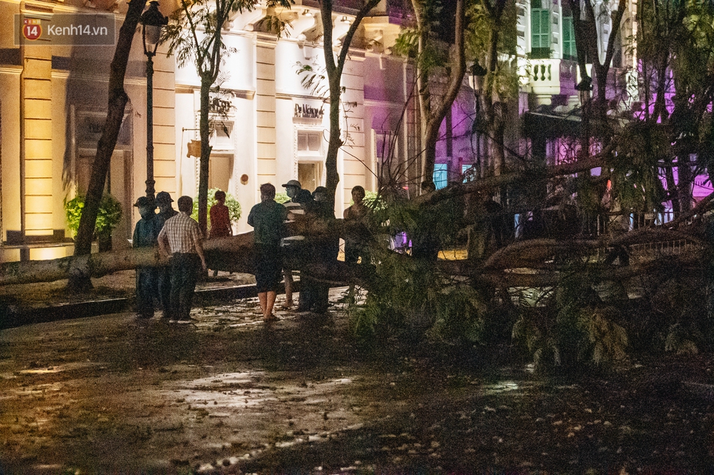 Chùm ảnh Hà Nội sau cơn mưa trắng trời: Cây đổ khắp phố phường, mất điện, người dân không kịp trở tay - Ảnh 15.