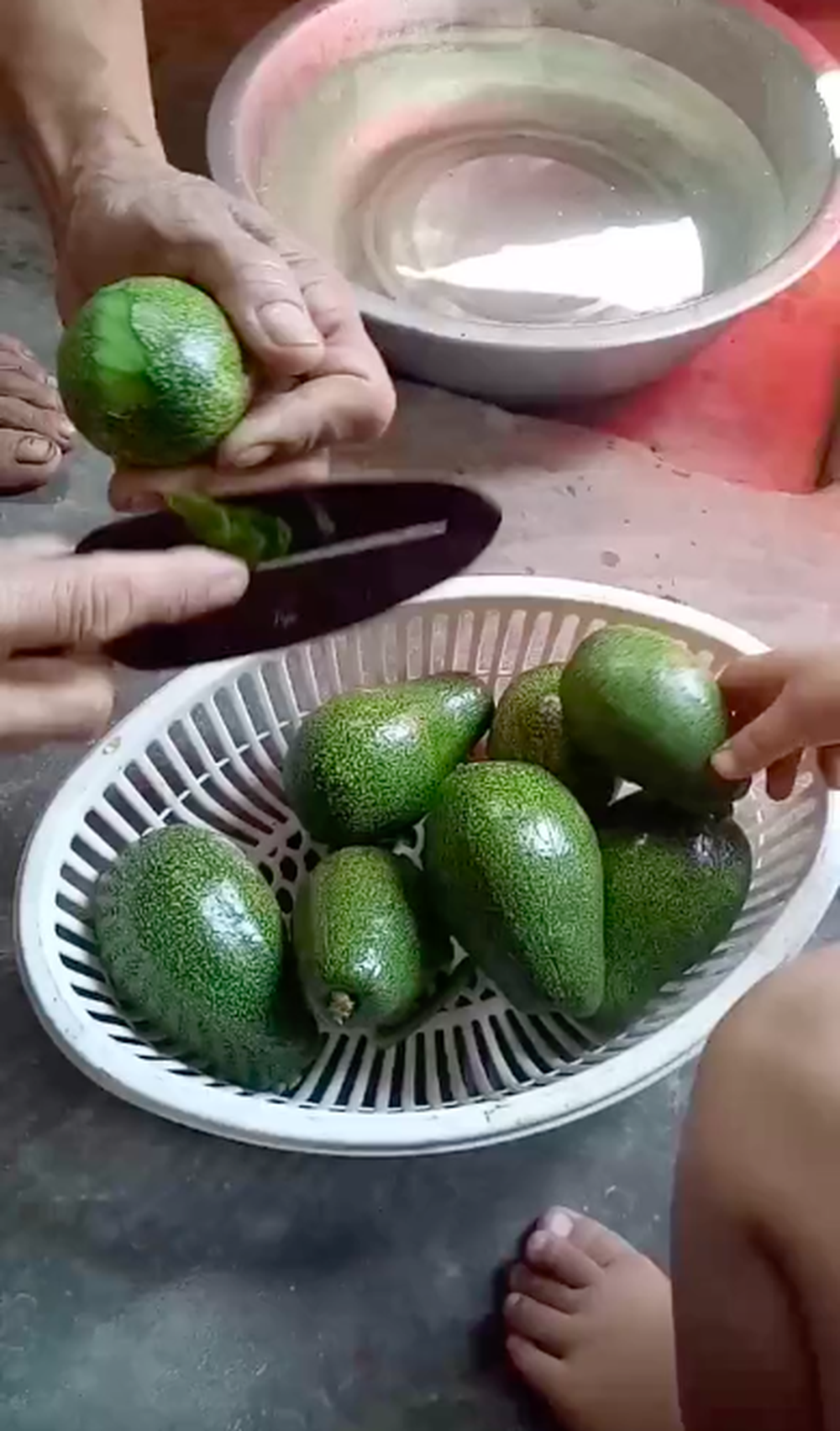 Trồng được cây bơ sai trĩu quả nhưng chờ chín quá lâu, cô gái hái vào nhà làm luôn một món chẳng ai nghĩ có thể ăn được - Ảnh 4.