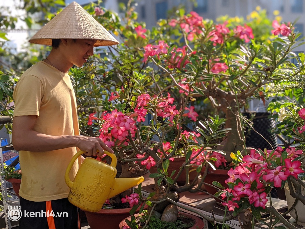 Chàng kiến trúc sư trẻ biến sân thượng thuê trọ thành vườn cây trái sum suê, nổi bật giữa trung tâm Sài Gòn - Ảnh 5. Chàng kiến trúc sư trẻ biến sân thượng thuê trọ thành vườn cây trái sum suê, nổi bật giữa trung tâm Sài Gòn - Ảnh 5.
