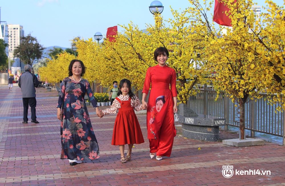 Đến lượt linh vật hổ Đà Nẵng trình làng tại đường hoa, nhan sắc thế nào so với hổ các tỉnh khác? - Ảnh 14.