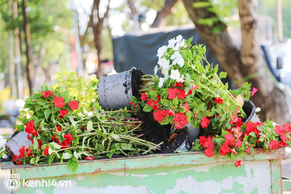 ẢNH: Sau khi tiểu thương ở Sài Gòn vứt bỏ hoa ế, nhiều người dân tranh thủ đến xin đất, lượm hoa mang về trưa 29 Tết - Ảnh 1.