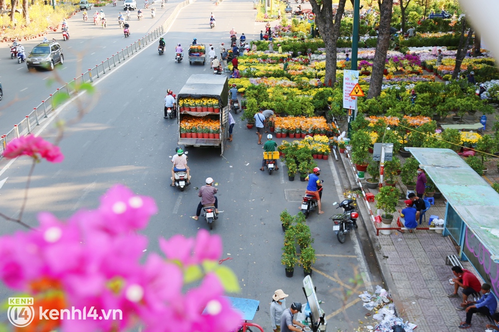 Đại hạ giá sáng 29 Tết mà người dân chỉ đến xem hoa, tiểu thương ngậm ngùi cắt cành than thở: Chưa năm nào ế như năm nay - Ảnh 1. Đại hạ giá sáng 29 Tết mà người dân chỉ đến xem hoa, tiểu thương ngậm ngùi cắt cành than thở: Chưa năm nào ế như năm nay - Ảnh 1.