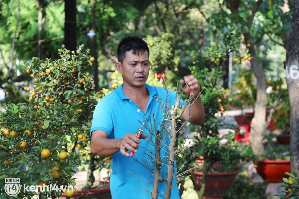 Đại hạ giá sáng 29 Tết mà người dân chỉ đến xem hoa, tiểu thương ngậm ngùi cắt cành than thở: Chưa năm nào ế như năm nay - Ảnh 13. Đại hạ giá sáng 29 Tết mà người dân chỉ đến xem hoa, tiểu thương ngậm ngùi cắt cành than thở: Chưa năm nào ế như năm nay - Ảnh 13.