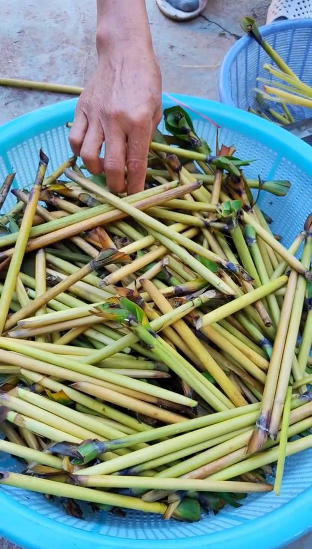  Món ăn đặc sản vùng Tây Bắc khiến nhiều thực khách phải giật mình, không phải ai cũng dám thử - Ảnh 2.