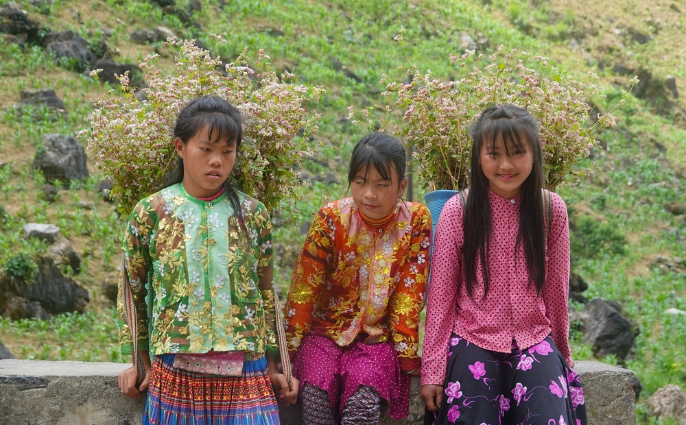 Chùm ảnh: Hoa tam giác mạch ở Hà Giang nở đầu mùa hạ khiến nhiều du khách bất ngờ - Ảnh 6.