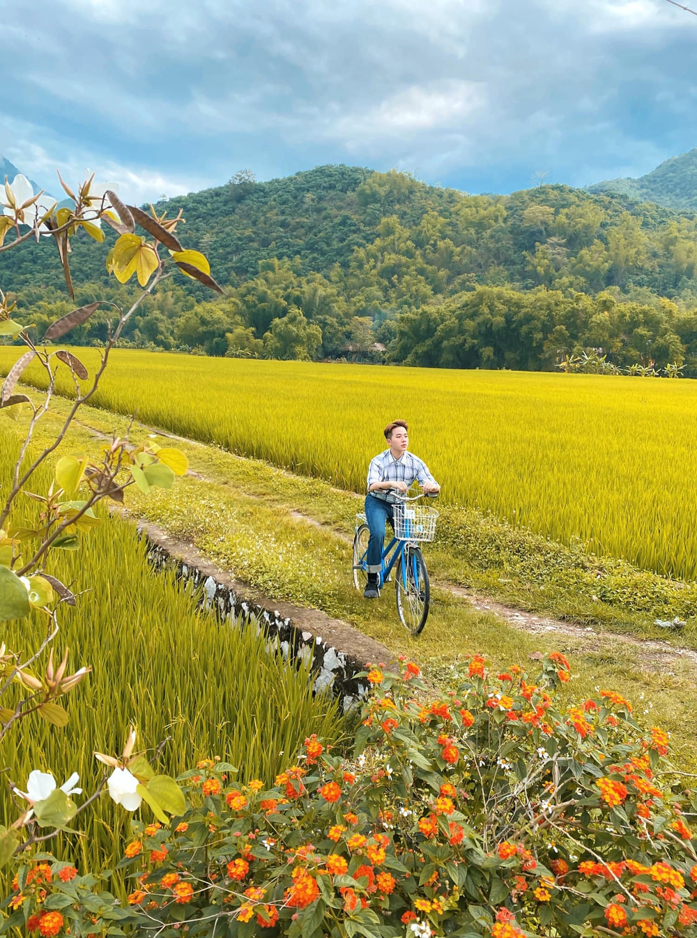 Mai Châu đang là thiên đường lúa chín đầu hạ đẹp nhất nhì vùng Tây Bắc, thu hút rất nhiều bạn trẻ đến chụp ảnh - Ảnh 12.